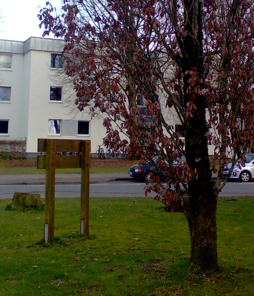 Photograph: A badly cropped tree with wilted leaves standing in front of a wooden sign with grey living quarters in the background